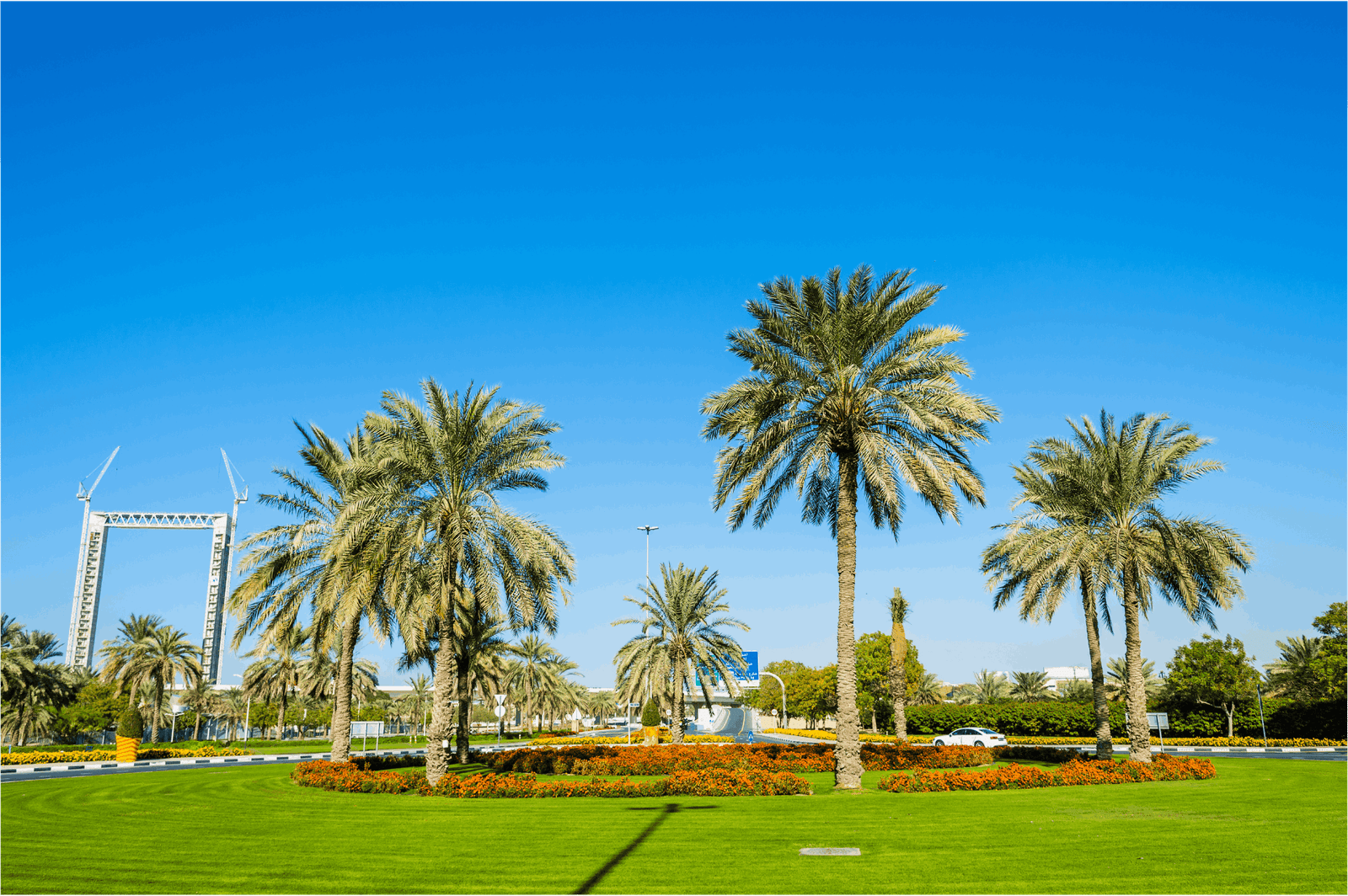 Jumeirah Zabeel Saray (6)