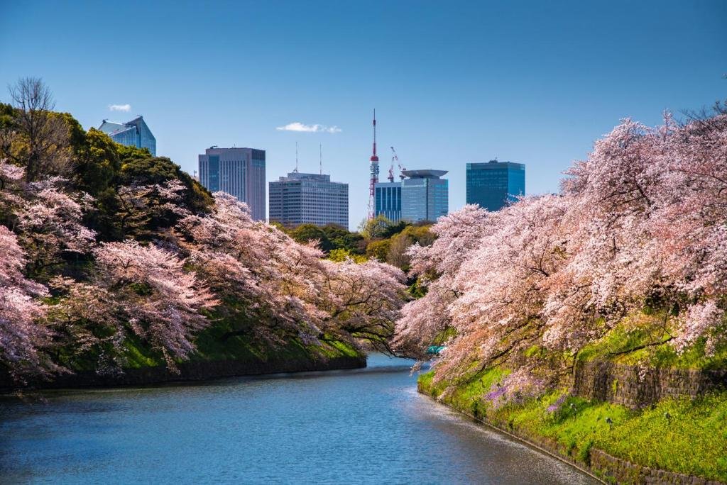 FSH-tokyo-1
