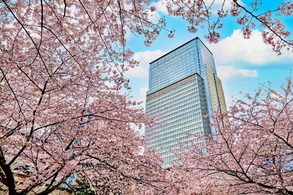 MO-tokyo-3