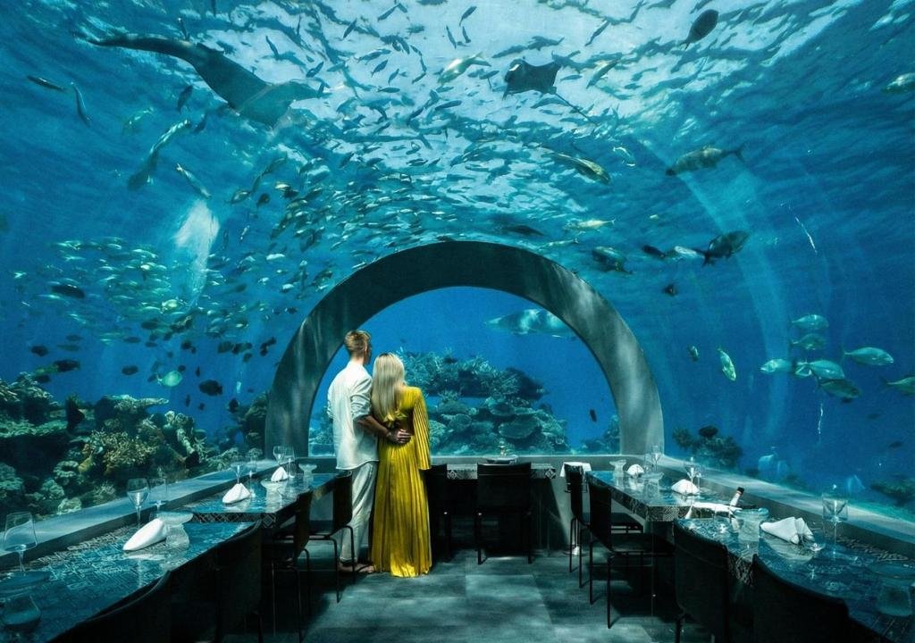 YM-maldives-2