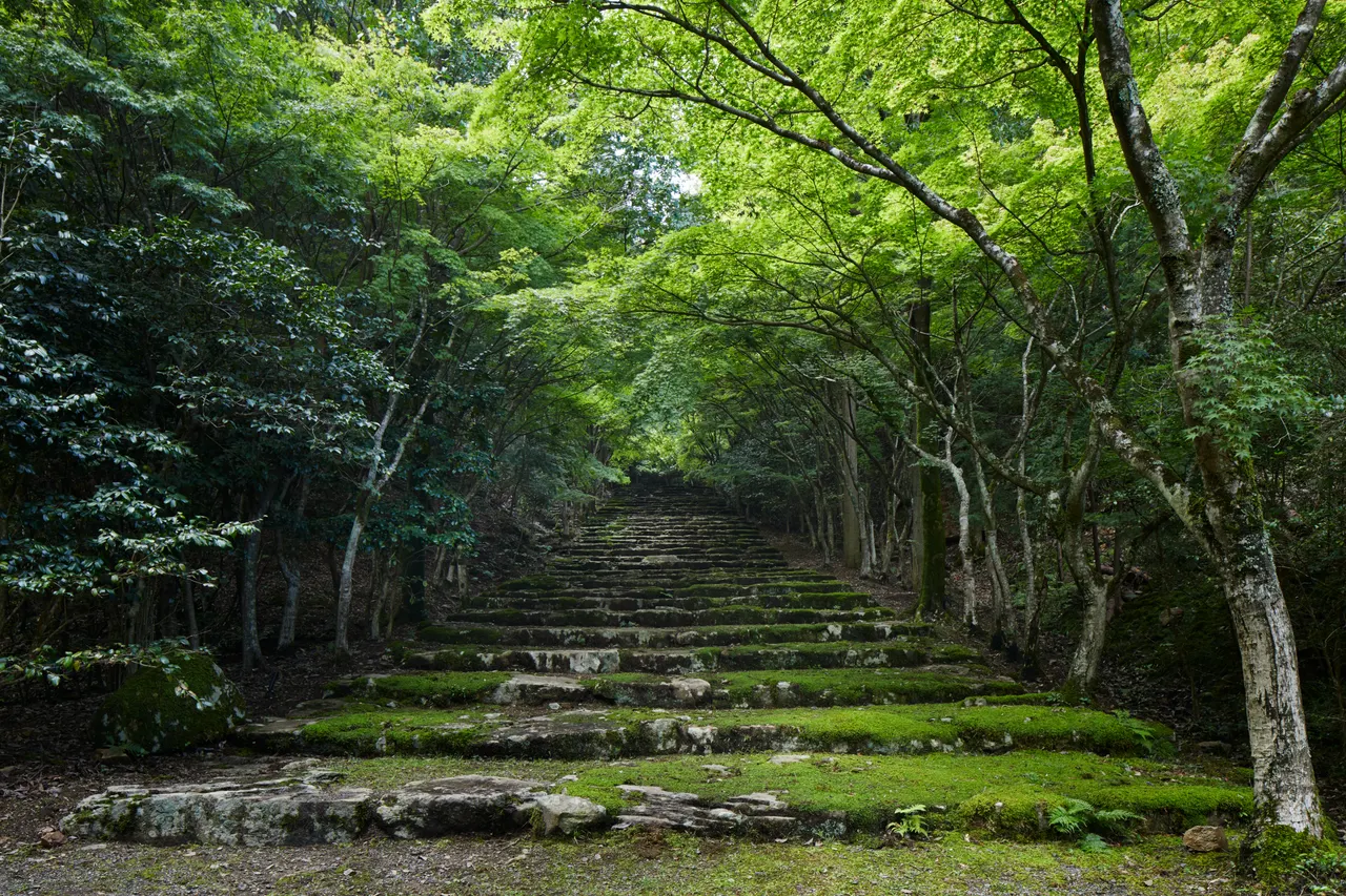 a-kyoto-5