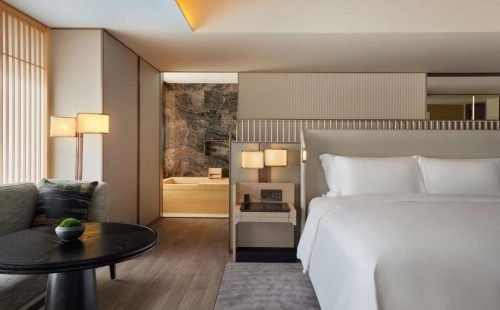 DT-kyoto-4