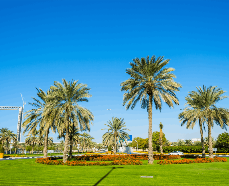 Jumeirah Zabeel Saray (6)