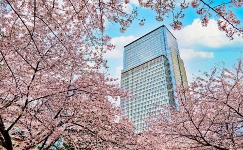 MO-tokyo-3