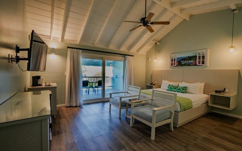 Pineapple Garden View