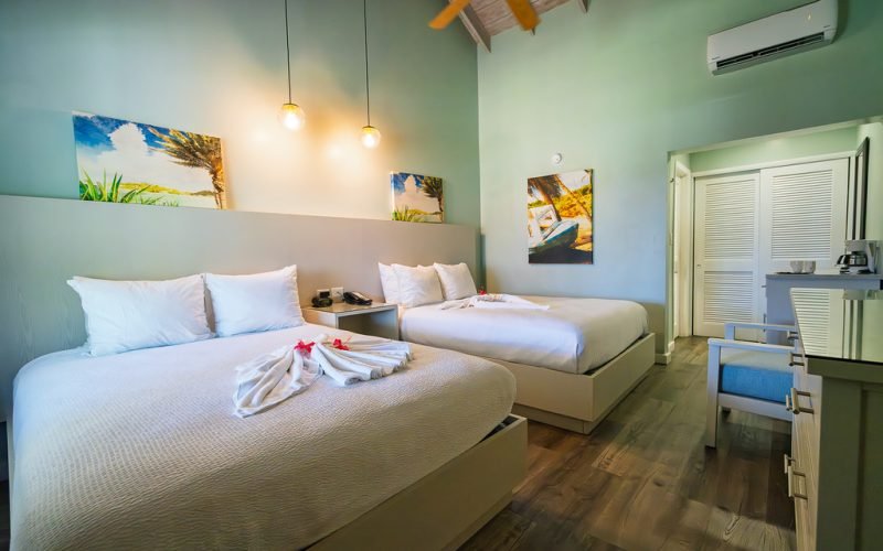 Pineapple Garden View