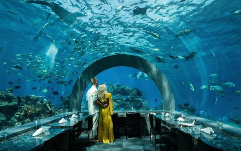 YM-maldives-2