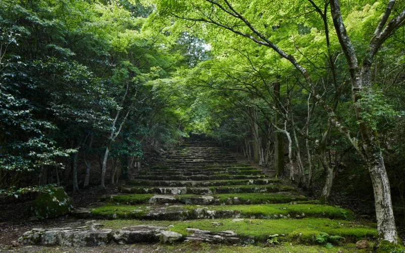 a-kyoto-5